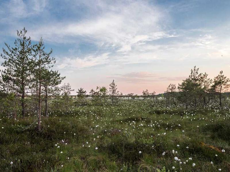 Senior Home 20251116121046-15