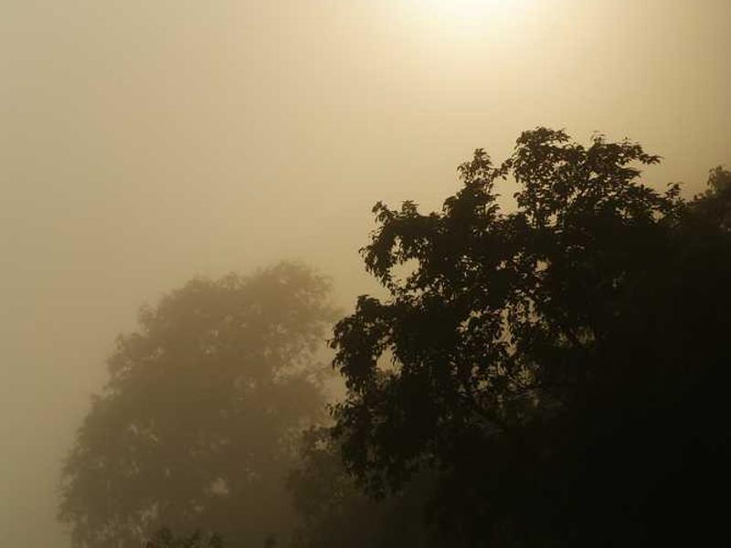 Senior Home 20251116121107-6