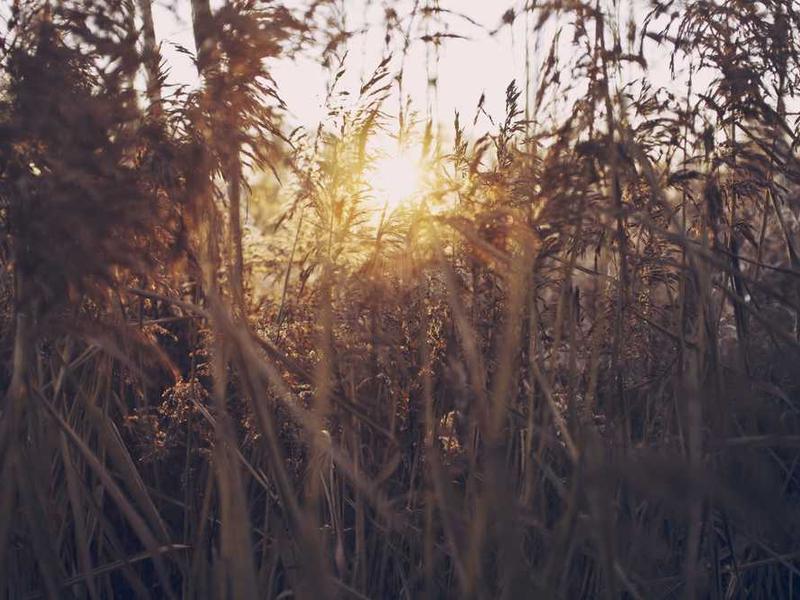 Senior Home 20251116121116-11