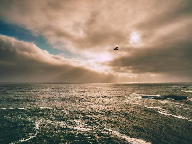 Senior Home 20251116121151-10