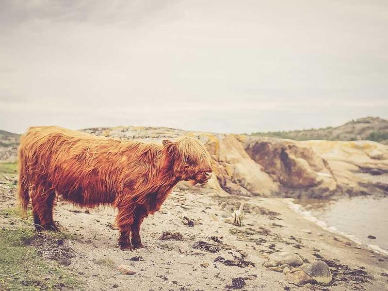 Senior Home 20251116121205-18