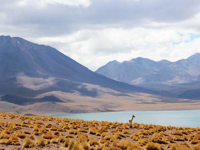 Senior Home 20251116121208-20