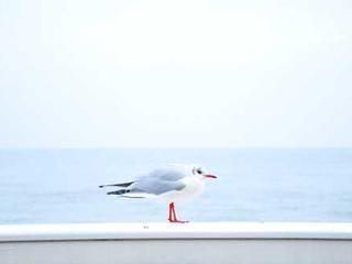 Senior Home 20251116121037-10