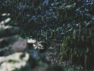 Senior Home 20251116121039-11