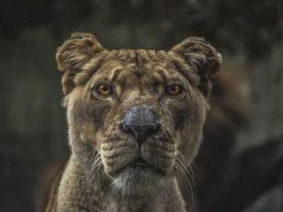 Senior Home 20251116121102-3