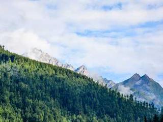 Senior Home 20251116121125-16