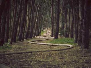 Senior Home 20251116121129-18