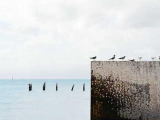 Senior Home 20251116121149-9