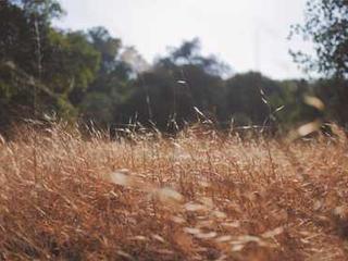 Senior Home 20251116121203-17