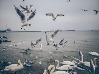 Senior Home 20251116121214-3