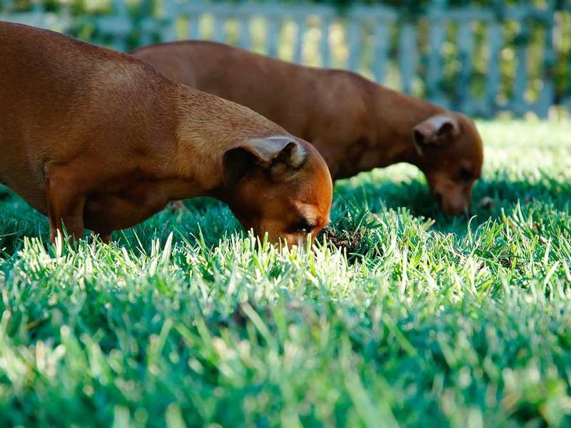 Oferta specjalna 20251119083335-8448