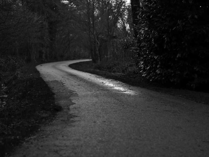 Oferta specjalna 20251119083336-3440