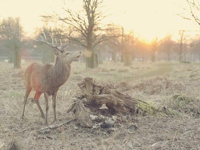 Oferta specjalna 20251119083336-2353