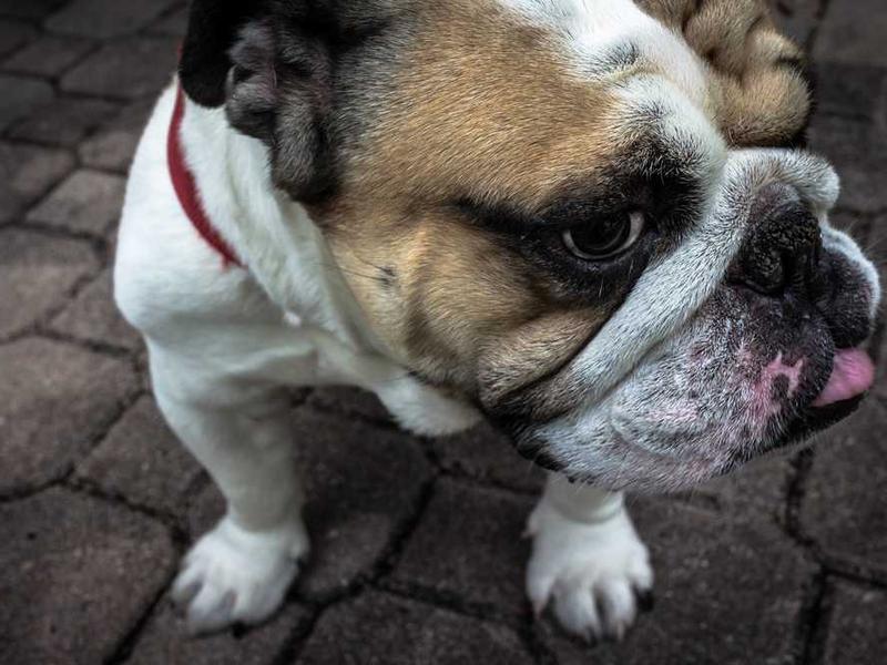 Oferta specjalna 20251119083339-3764