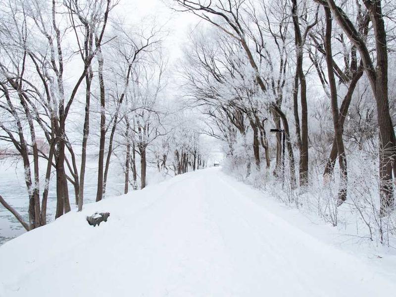 Oferta specjalna 20251119083646-1598