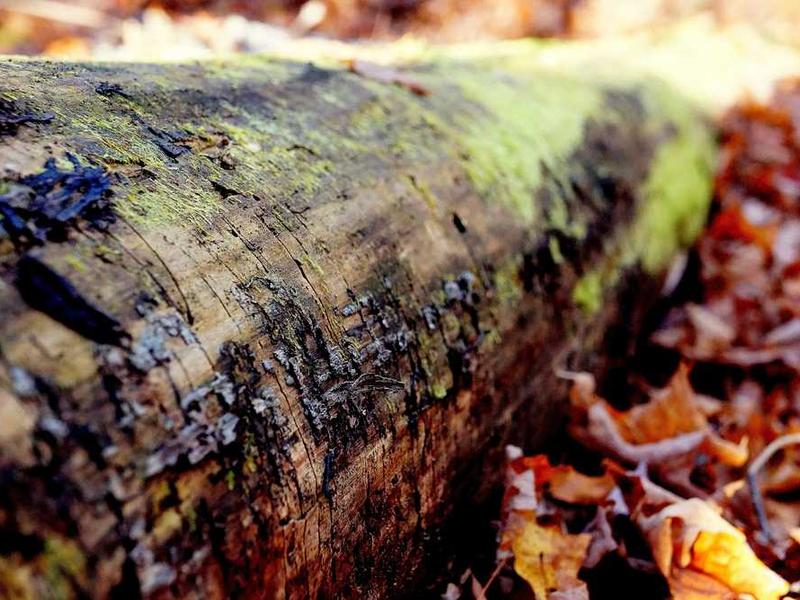 Oferta specjalna 20251119083647-8565