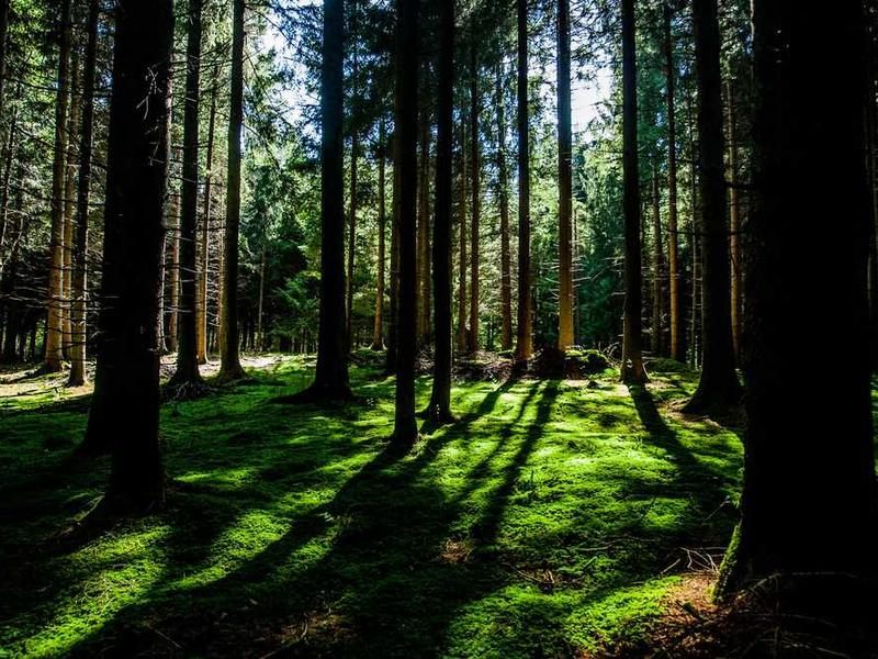 Oferta specjalna 20251119083648-5252