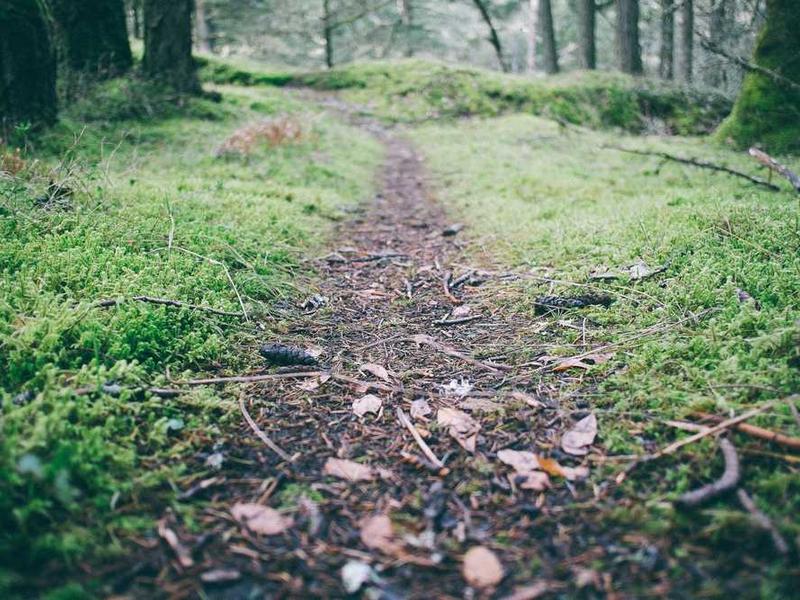 Oferta specjalna 20251119083648-2420