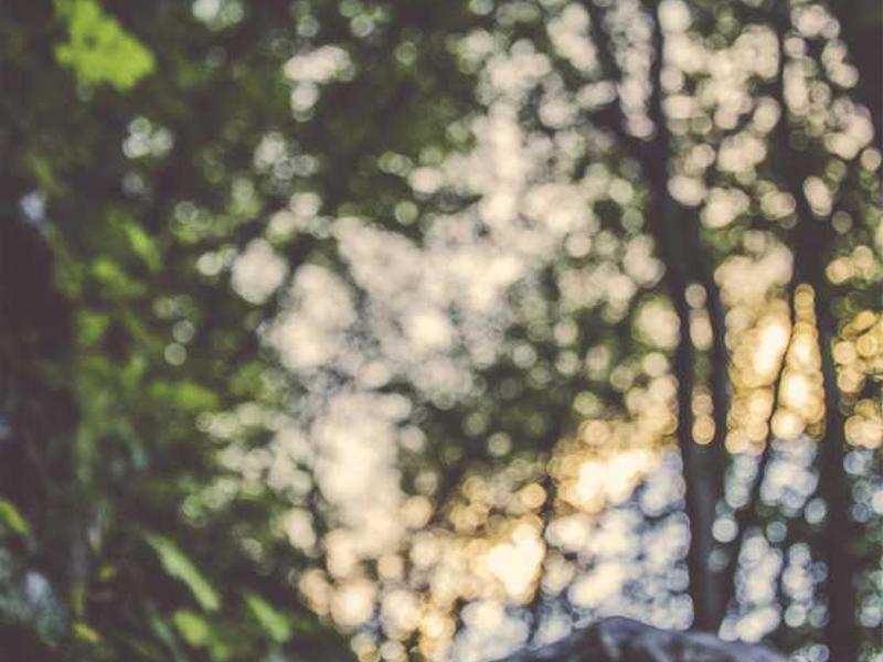 Oferta specjalna 20251119083341-3023