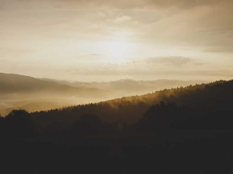 Oferta specjalna 20251119083342-2155