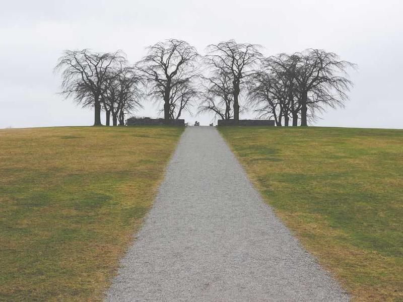 Oferta specjalna 20251119083347-9453