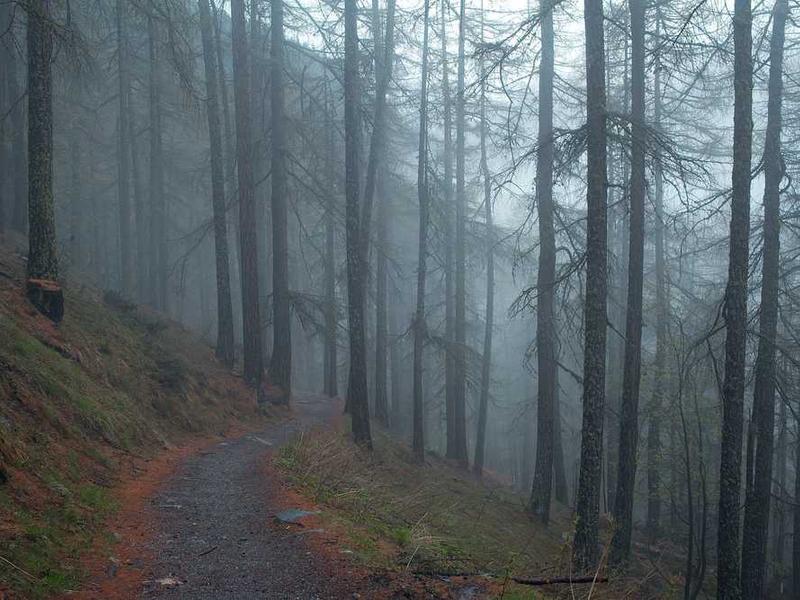 Oferta specjalna 20251119083348-5569